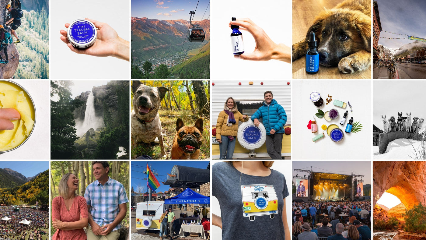 Tim's Naturals Instagram feed with multiple photos from the instagram feed with dogs, tim's naturals products, and telluride fun