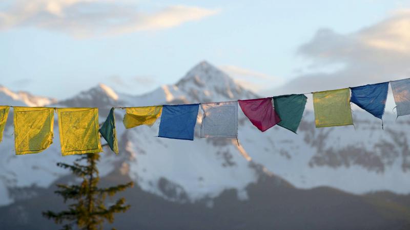 Buddhist prayer flags with a pine tree and Mount Wilson beyond